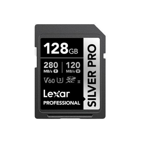 Professional SILVER PRO 128GB Memory Card