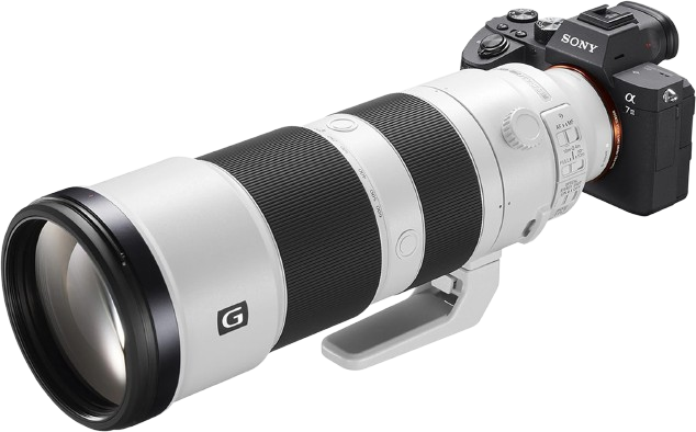 200-600mm G Lens