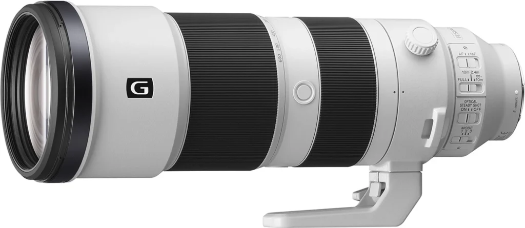 200-600mm G Lens